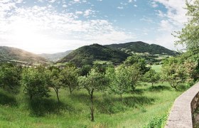 Naturpark Jauerling, © Wachau-Nibelungengau-Kremstal