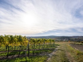 Blick auf das Gartendorf Schiltern, © POV, Robert Herbst