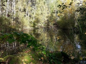 Wasser-Wiese-Wald-Wanderweg (Tut-gut-'Route 3), © Stadtgemeinde Schrems