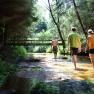 Beim Einfalt B&B | Wandern im Waldviertel, © Familie Einfalt