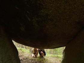 Bärentrail im Waldviertel - der neue Sidestep "Felsengarten", Steinerne Stube, © Matthias Schickhofer