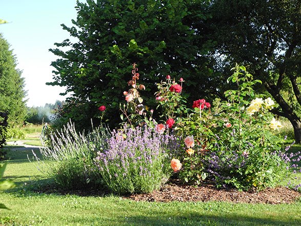 Garten, © Reinhard Kratochvil