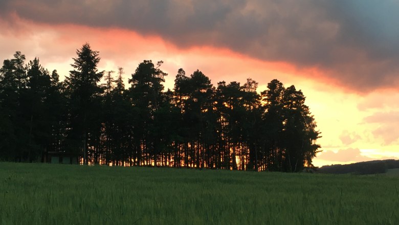 Sonnenuntergang mit Wald, © Peter Brezina