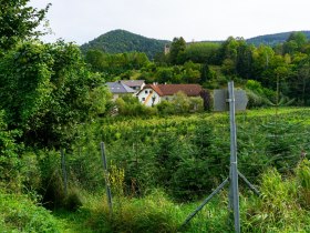 ein Stück auf der Landstraße, © Gottfried Grossinger