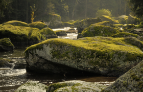 Kamptal zwischen Zwettl und Roiten, © Matthias Schickhofer