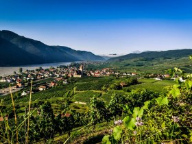 Weißenkirchen in der Wachau, © Robert Herbst