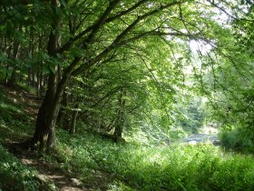 Mühlenweg, © Waldviertel Tourismus