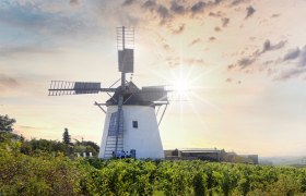 Retzer Windmühle, © Romana Fürnkranz