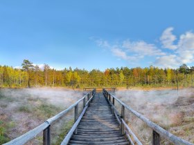 Prügelsteg im Naturpark Heidenreichsteiner Moor, © Horst Dolak