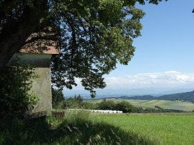 Brandstätter Kreuz - Ausblick, © Marktgemeinde Nöchling