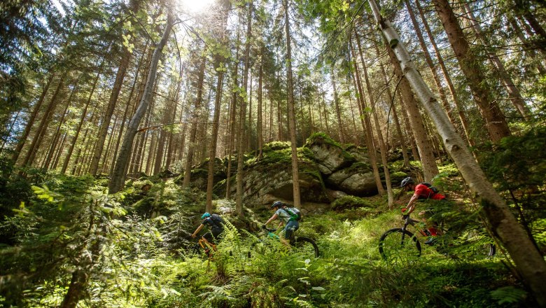 Granittrail, © Waldviertel Tourismus, Erwin Haiden