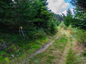 Richtung Arndorf, © Gottfried Grossinger