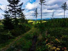 Andorfer Leiten - Blick nach Norden, © Gottfried Grossinger