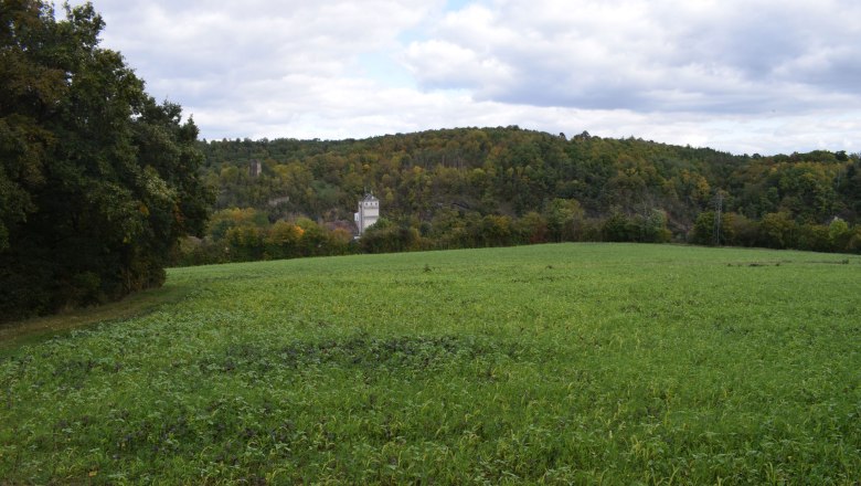 Blick auf die Fundstelle von Kamegg, © ARDIG