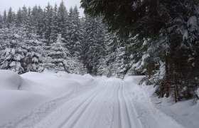 Weinsberg Loipe, © Waldviertel Tourismus