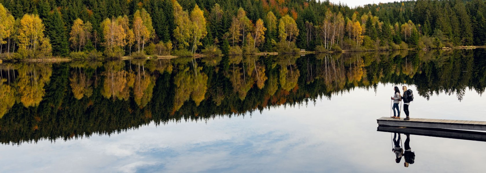 autumn, © Lebensweg, Studio Kerschbaum