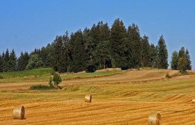 Strohballen, © Rainer Gangl