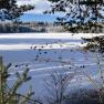 Winter im Waldviertel, © Dieter Juster