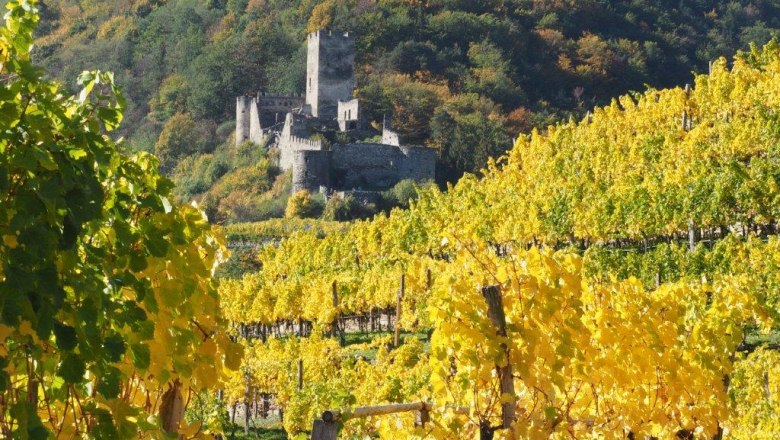 Ruine Spitz a. d. Donau, © Jutta`s Ferientraum, Günter Prohaska