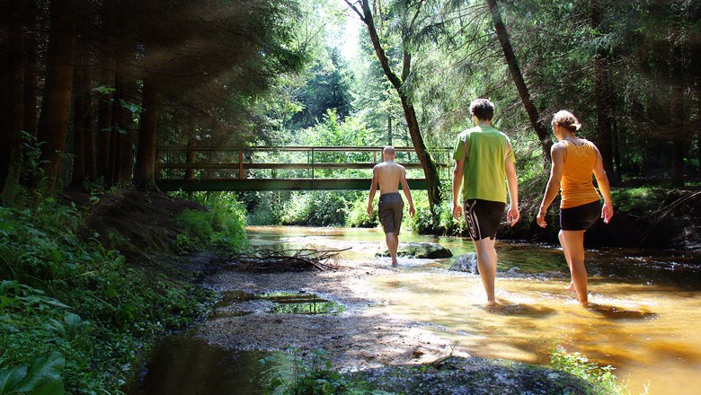 Waldbaden, © Gasthof Einfalt