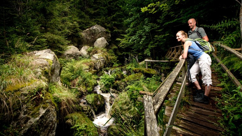 Ysperklamm, © Waldviertel Tourismus, Studio Kerschbaum