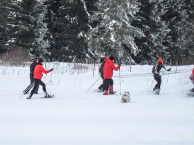 Schneeschuhwanderung Frauenwieserteich, © Walter Bröderbauer