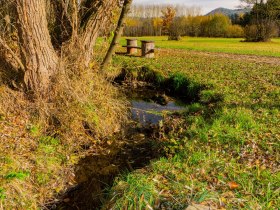 Bachwiesenweg, © Gottfried Grossinger