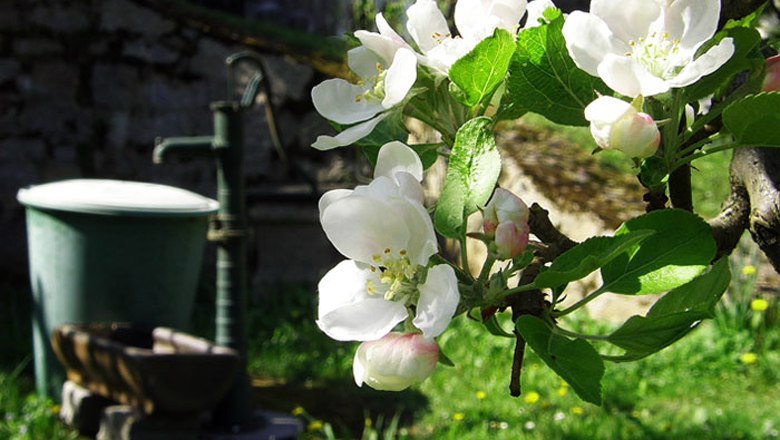 Eine Schwengelpumpe unterm Apfelbaum, © Heidehof, Christian Schwingenschlögl