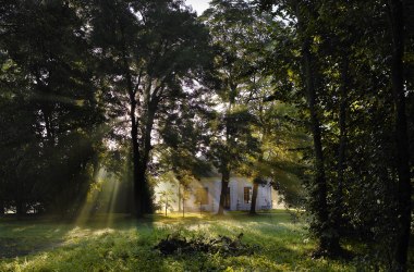 Grafenegg Castle Park, © Natur im Garten, Alexander Haiden