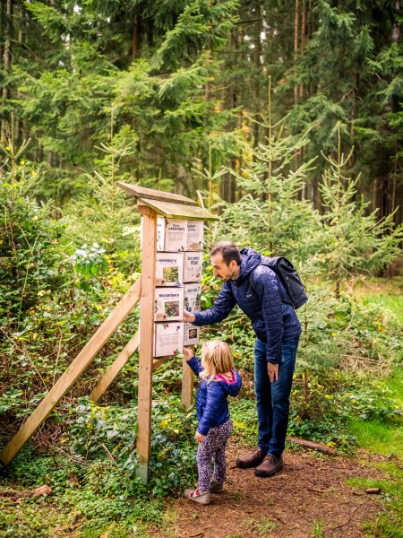 Reisetipp, © Waldviertel Tourismus, Robert Herbst