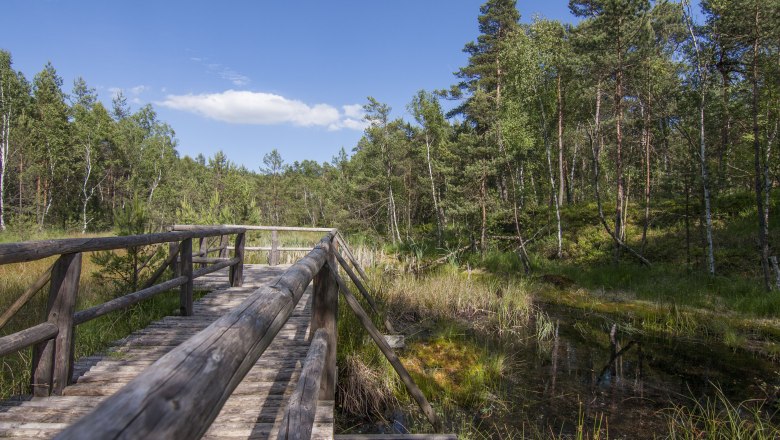 Naturpark Hochmoor Schrems, © UnterWasserReich, Sonja Eder