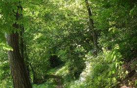 Holzhackerweg, © Waldviertel Tourismus