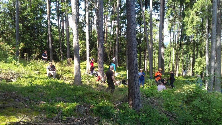 Im Wald, © Waldpädagogik Waldviertel/Roswitha Haghofer