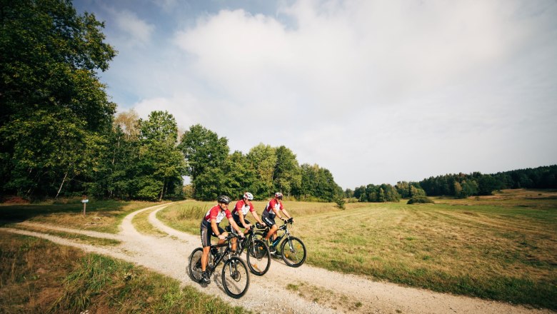 Iron Curtain Trail, © Waldviertel Tourismus, contentkumpaneiGollner