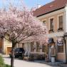 Gasthof zur Kirche, © Gasthof zur Kirche