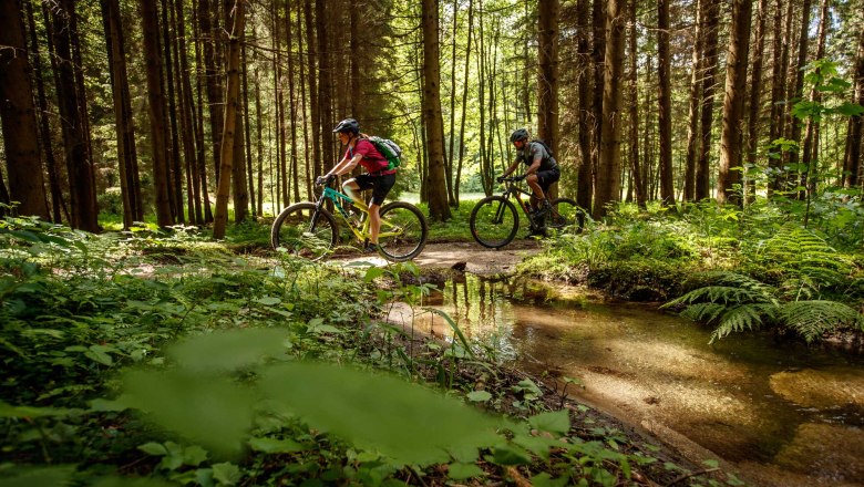 Granittrail, © Waldviertel Tourismus, Erwin Haiden