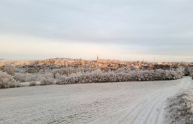 Winterwandern in Gföhl, © Stadtgemeinde Gföhl