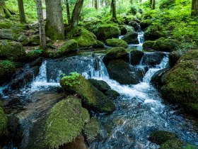 Die romantische Steinbachklamm bei Marbach im Nibelungengau, © Robert Herbst