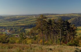 Waldlehrpfad, © Waldviertel Tourismus