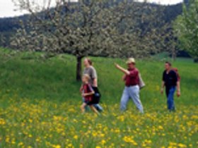 Kellergassenwanderung, © Waldviertel Tourismus