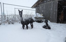 Sophie und Marie im Schnee, © Michael Berner