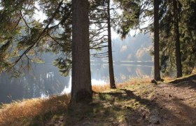 Lichtbergweg, © Gemeinde Bärnkopf