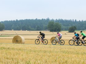 Radfahren, © © Waldviertel Tourismus, Erwin Haiden, nyx.at