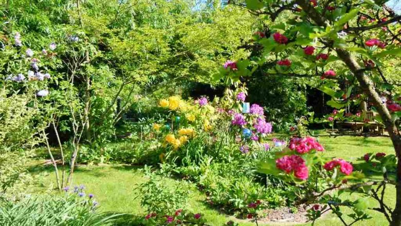 Sommer im Garten, © Natur im Garten