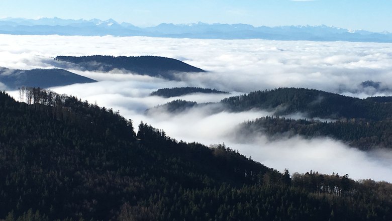 Aussichtsberg Burgsteinmauer, © Leo Baumberger