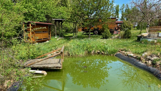 Natur pur in Oberhöflein, © Weinstraße Weinviertel