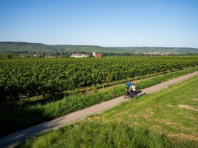 Veltliner-Runde, © POV