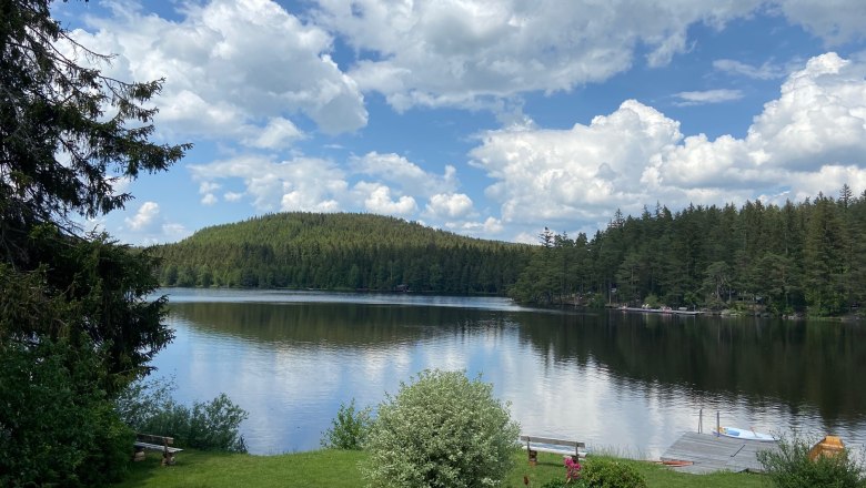 Edlesbergerteich,  3 km entfernt, © Dieter Juster