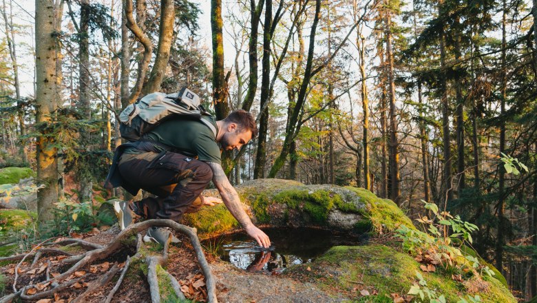 Druidenweg, © Waldviertel Tourismus, linesadventures