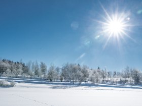 Winterlandschaft im Waldviertel, © Waldviertel Tourismus, Robert Herbst